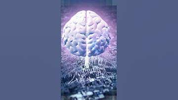 The Ultimate Data Analytics Course Syllabus: Beginner to Pro