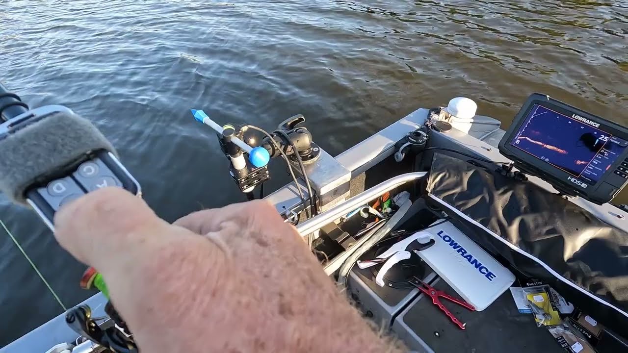 Live sonar, rotator management