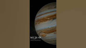 قرآن كريم | مَنْ جَاءَ بِالْحَسَنَةِ فَلُهُ خَيرٌ مِنْهَا ❤️🍃| إسلام صبحي _ حالات واتس قرآن 🍂