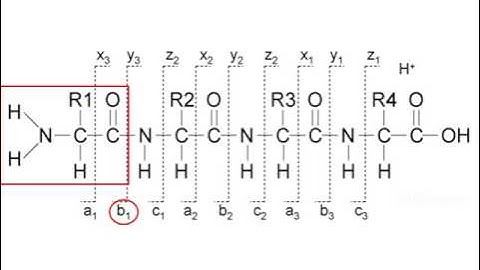 Mass spectrometry for proteomics - part 2