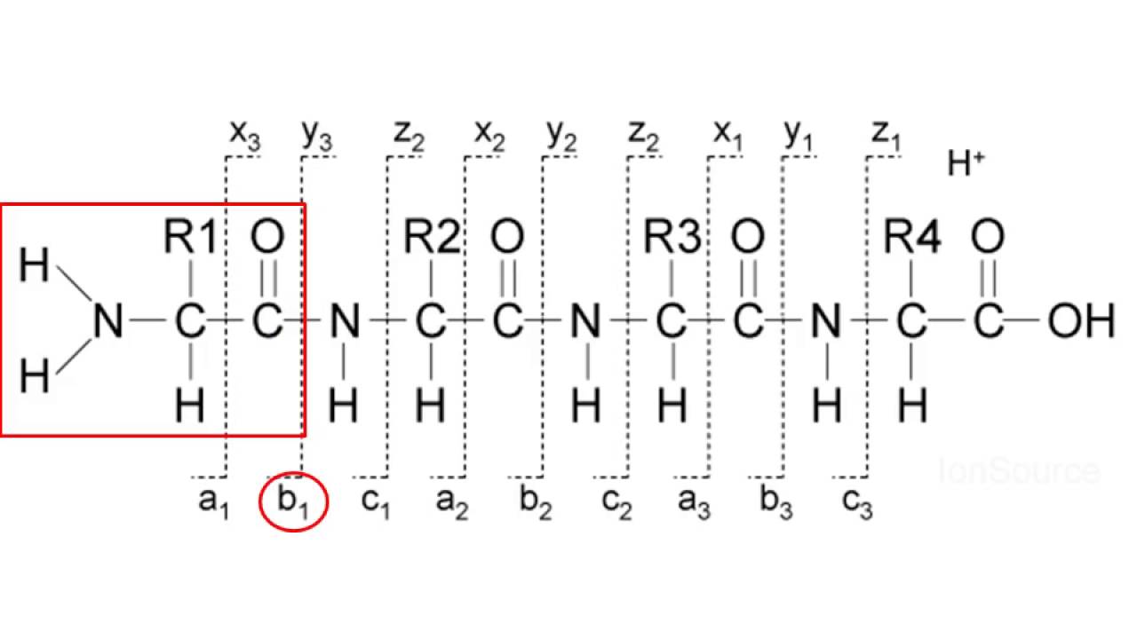 Mass spectrometry for proteomics - part 2