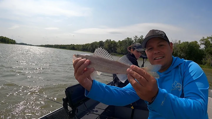 Sugar Island Sauger Slam