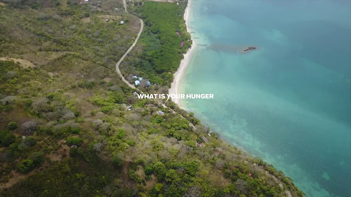 What would you do if money were no object? Alan Watts Lecture - Different Hunger