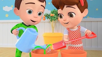 Planting Song - Fruits and Veggies for Babies | Kung Fu Baby | Nursery Rhymes & Kids Songs