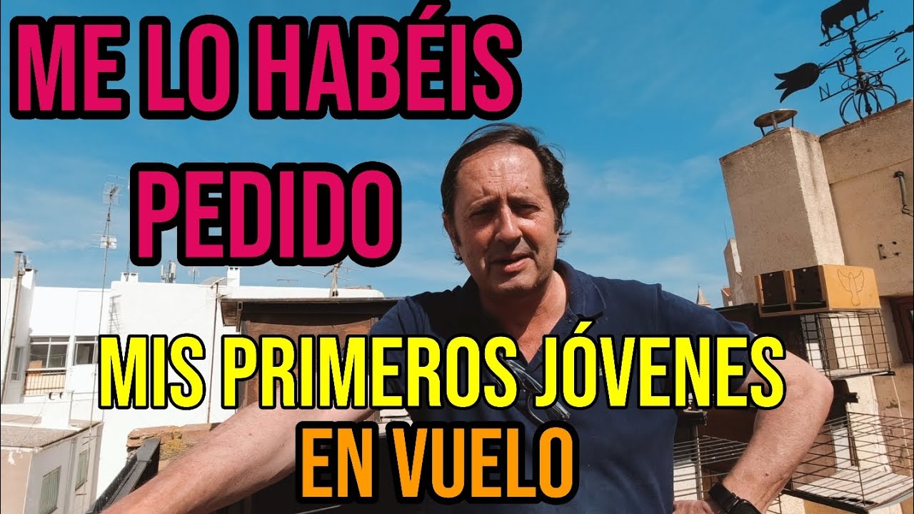 Me lo habéis pedido 🙉 Mis primeros pichones en vuelo | Con sus defectos 🕊️💊