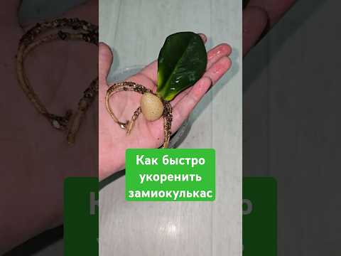 ЖАЛЕЮ, что раньше