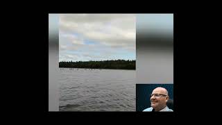 Укрепленная и непреодолимая граница россии с НАТО - муха не пролетит #russia #россия #putin