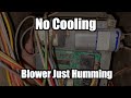 No Cooling/Blower Just Humming