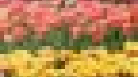 Path to the Singularity - Official Music Video