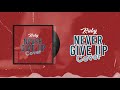 Ruby - Never Give Up - (COVER)