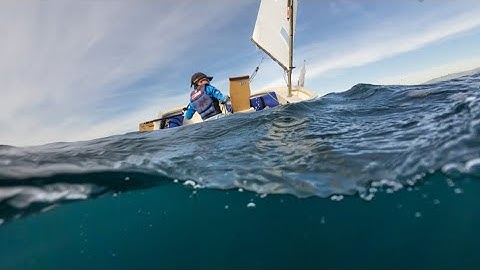 Palma part 2 (The event)