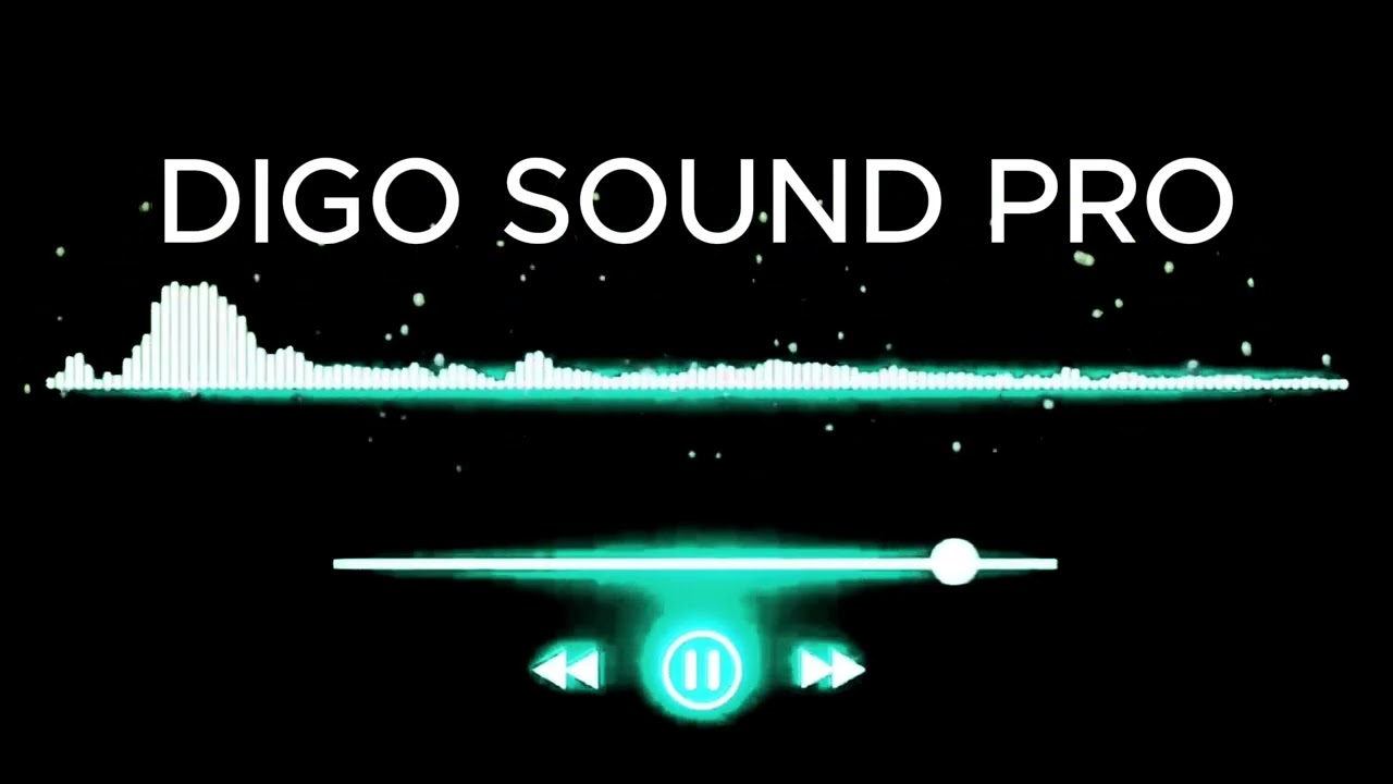 DJ Kwaw - DIGO SOUND PRO - DISCO SPAN