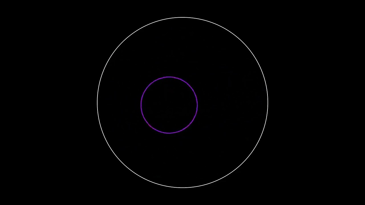 The Infinite Bounce: Ball in Perfect Circular Motion