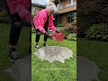 Granny Turn Red Maple Leaf into Concrete Garden Path