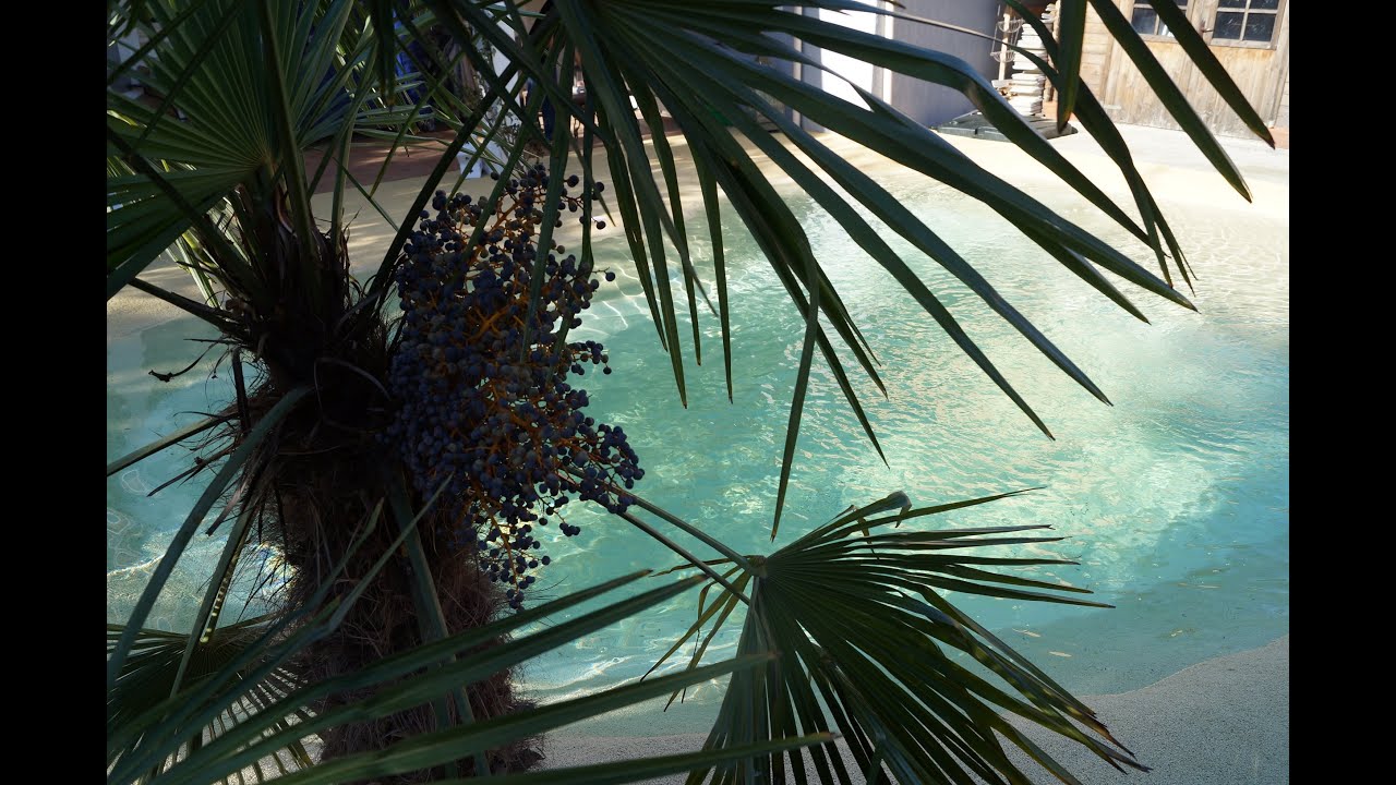 Piscine Lagon Plage En Gomme Caoutchouc