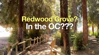 Redwood Grove Hike Guide (Carbon Canyon – Brea)