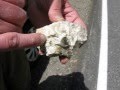 The Different Minerals of Gilsum, NH