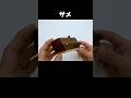 How to open?"Japanese Karakuri Box" #puzzlebox #Puzzle #Shorts
