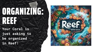 Organizing Reef (With Expansion, Promos, and Fully Sleeved) SideGameLLC