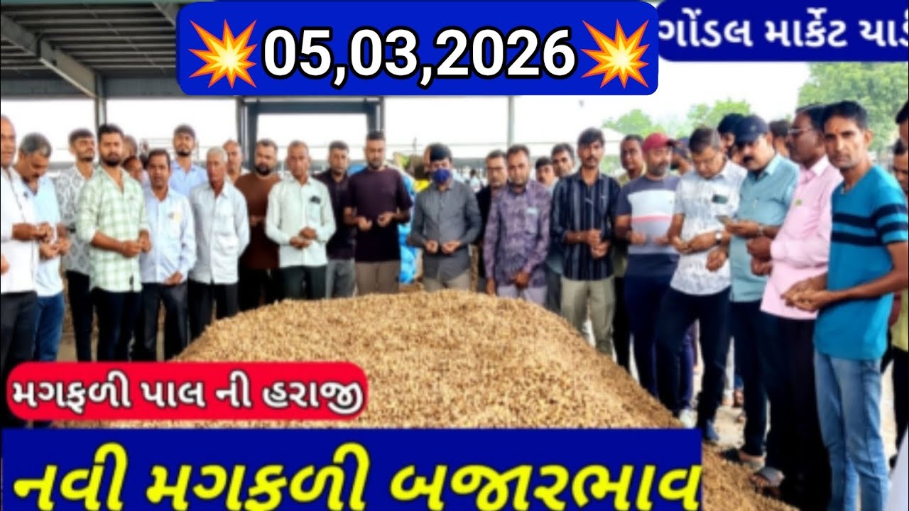 મગફળીના આજના બજાર ભાવ / ગોંડલ મગફળીના ભાવ / આજના મગફળીના ભાવ /05,03,2026