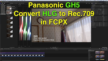 Panasonic GH5, CineD vs. HLG