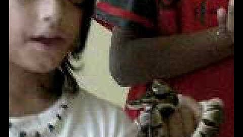 Ball python and leopard gecko update