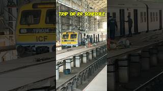 Demu Shed Work Line Number platform showing | Tharife vlog | #explore #foryou #training