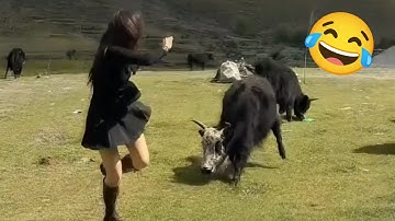 Kumpulan Momen Kocak & Konyol Bikin Ngakak Sampai Sakit Perut 😂🤣 Video Lucu 2025 #7