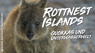 Rottnest Island – Quokkas und Tauchen in Western Australia