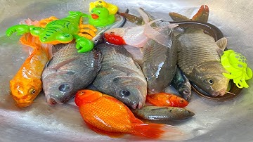 Kem Chanel bắt cá ở ống nước thần kỳ được cá chép, cá vàng, ca mập, con cóc, con vịt, con cua