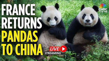 France Returns Panda To China LIVE: Huan Huan and Yuan Zi returned to China | Beauval Zoo | N18G