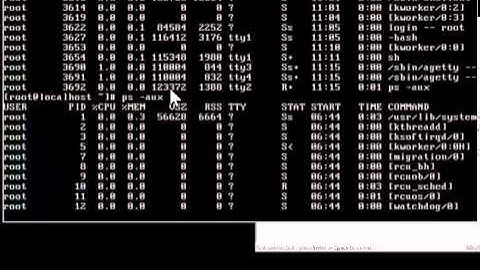 Operating Systems - Linux Fork and GetPID