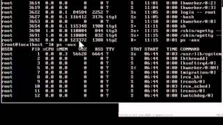 Operating Systems - Linux Fork and GetPID