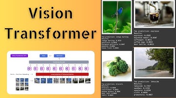 Classify images using Vision Transformers: A Hands-on Tutorial