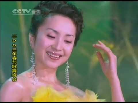 家乡美 2003春节歌舞晚会 现场版 汤灿