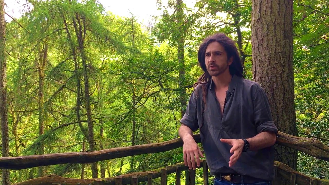 Tim Rees Musician Will there be toilets on a glamping holiday? Tim Rees MD Quality ...