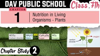 Chapter 1 | Nutrition in Living Org - Plants | Class 7 DAV Science | Chapter Study | (Part 2) 🔥🔥🔥