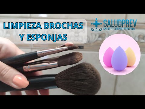 Cómo Limpiar Brochas y Esponjas Correctamente — Hola Princesa