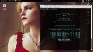Command and control server. Uploading and downloading files