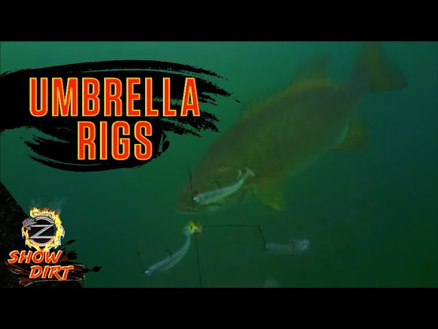 UMBRELLA RIG for Smallmouth Bass - ZONA SHOW DIRT Episode #3 