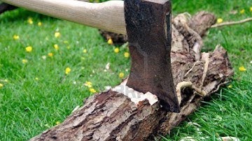 What Will Actually Be Cut By Sequestration?