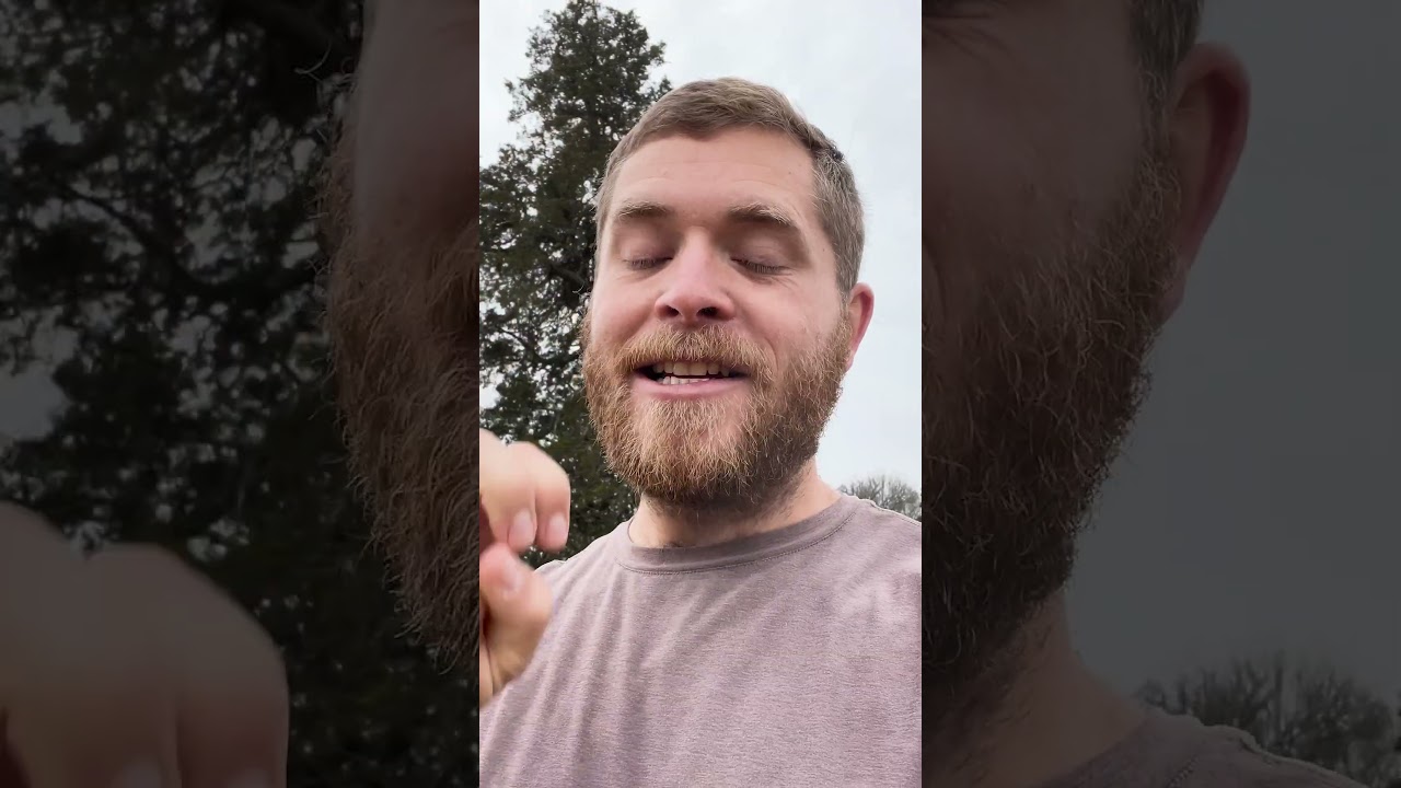 Cedar Trees Are Full of Lies