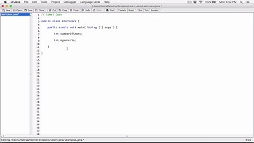 14. Variable naming convention (Camel case) - Learn Java
