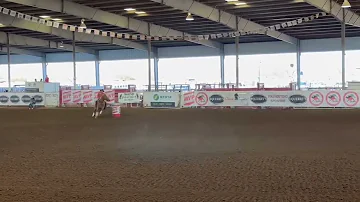 FAMOUS TA FIRE MVP Futurity 17.3 Standard Pattern