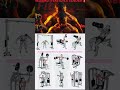 Full Body Workout at Home Equipment | Burn Fat & Build Muscle Fast #FullBodyWorkout #HomeWorkout