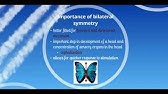 What similarities and differences exist between plants and fungi? 