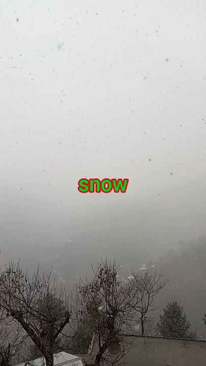 Romantic combination of fog and snow flakes....#beauty #love #youtubeshorts #trending
