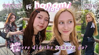 WE FOUND ALL THE SAKURA in Kichijōji, Japan