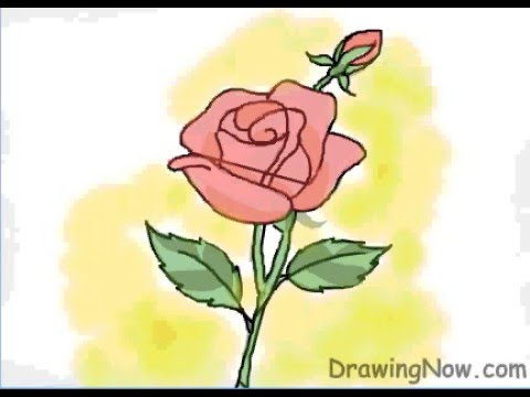 How To Draw A Red Rose Youtube