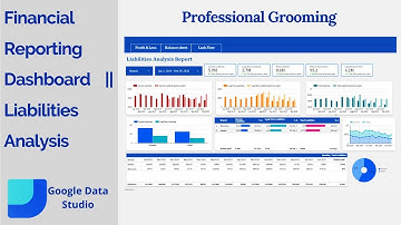 Liabilities Analysis | Google Data Studio | Financial Reporting